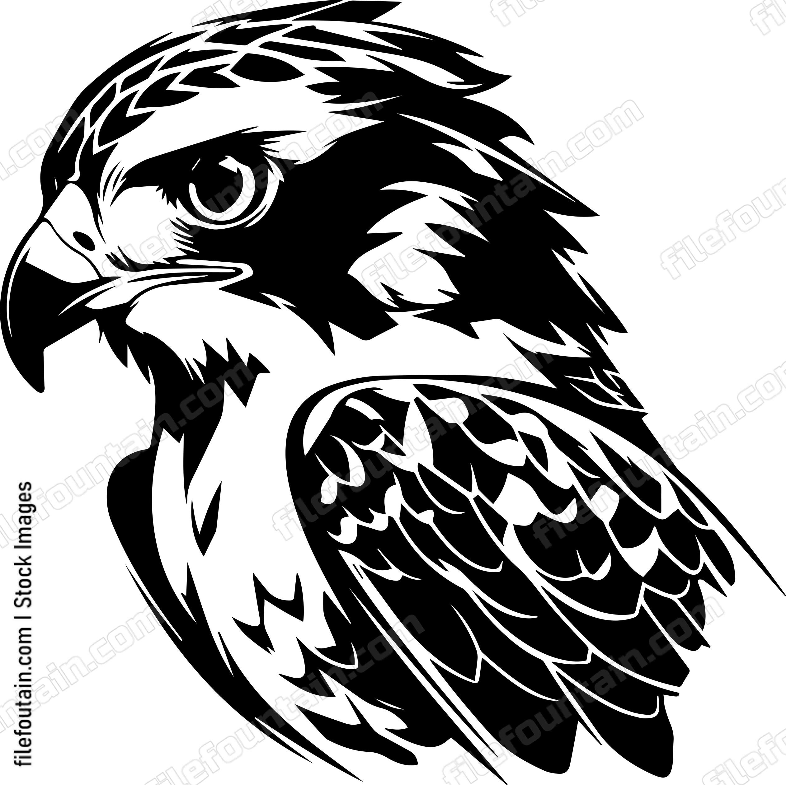 falcon