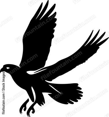 Falcon Flying