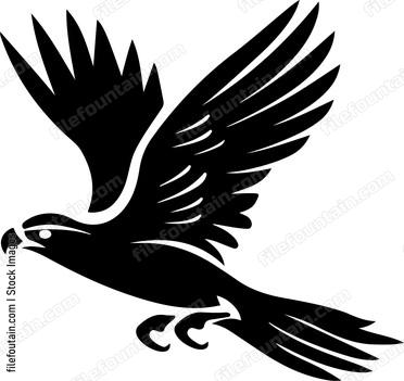 Falcon Flying