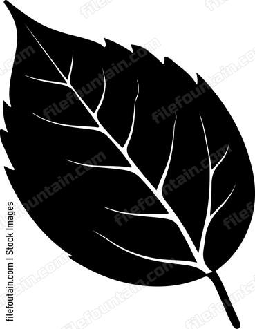 Falling Leaf