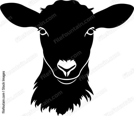 Farm Animal