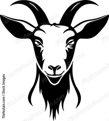 Farm Goat