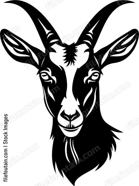 Farm Goat