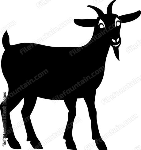 Farm Goat