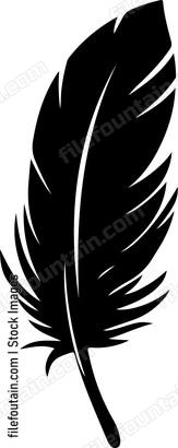 Feather