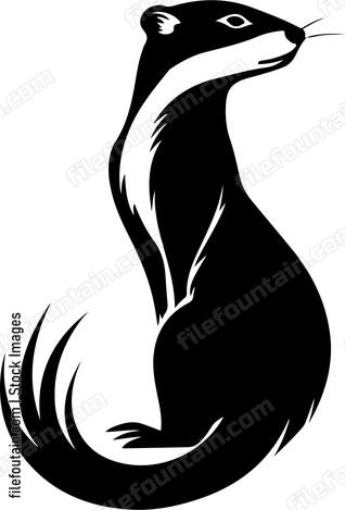 Ferret