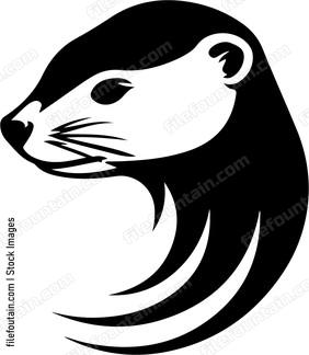 Ferret Head