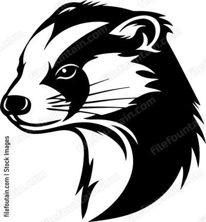 Ferret Head