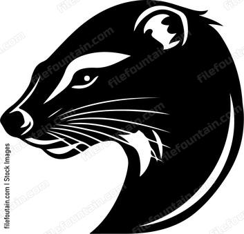 Ferret Head