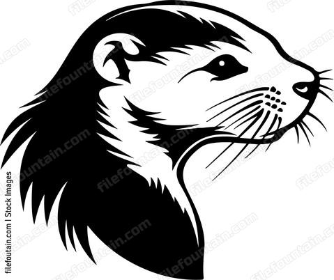 Ferret Head