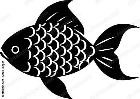 Fish Scales
