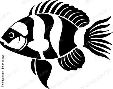 Fish with detailed fins