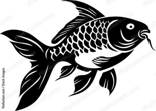 fish with large scales