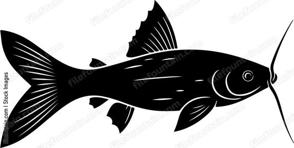 fish with long whisker