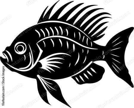 Fish with spiky dorsal fin