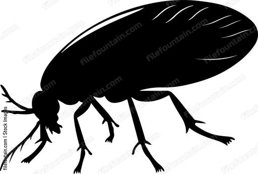 Flea Silhouette