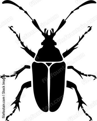 Flower Longhorn Beetle