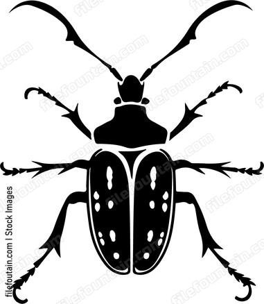 Flower Longhorn Beetle