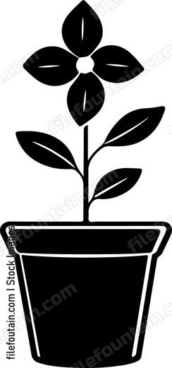 Flower Pot