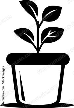 Flower Pot