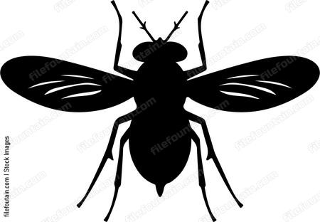 Fly