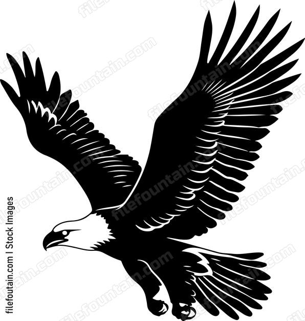 Flying Bald Eagle
