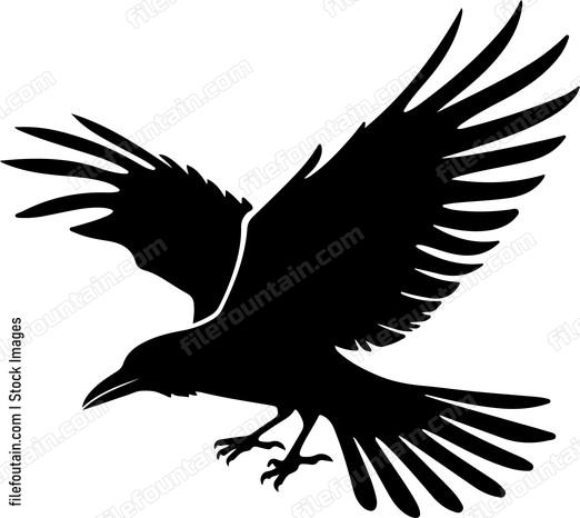 Flying Crow