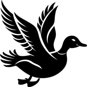 Flying Duck