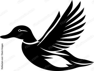 Flying Duck