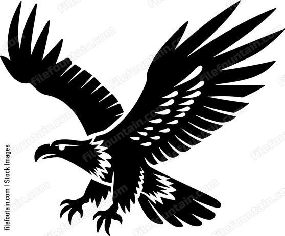 Flying Eagle Design