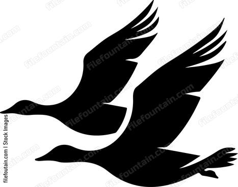 Flying Geese Hunting