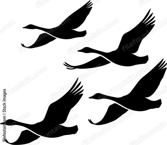 Flying Geese Hunting