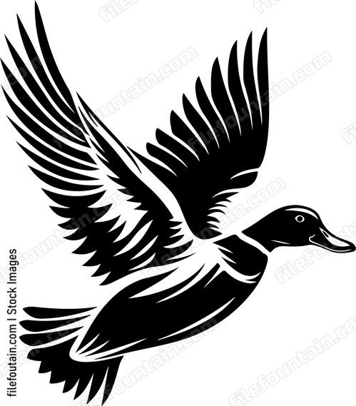 Flying Mallard Duck