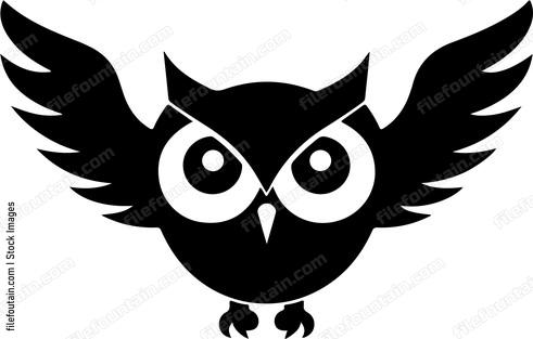Flying Owl