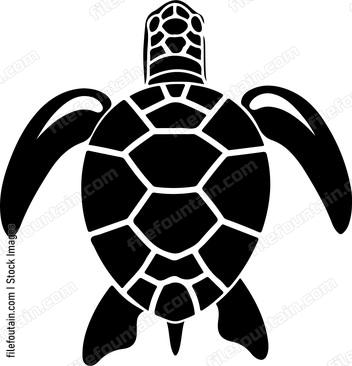 Flying Turtle