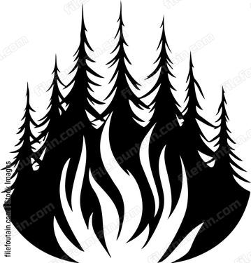 Forest Fire