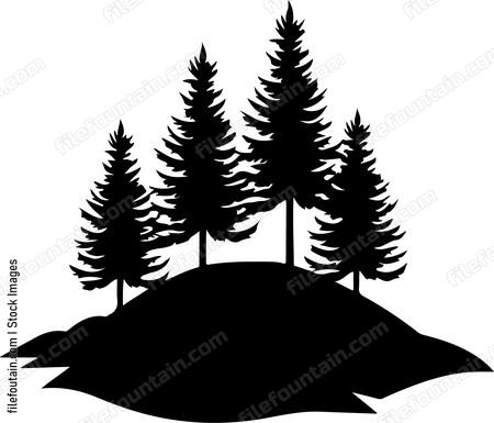 Forest On A Hill