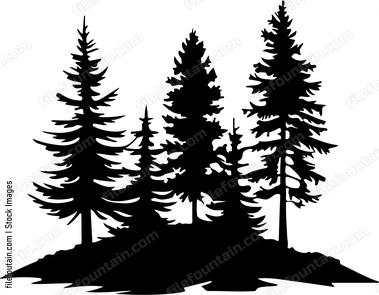 Forest Service