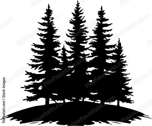Forest Silhouette