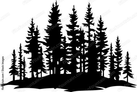 Forest Wall