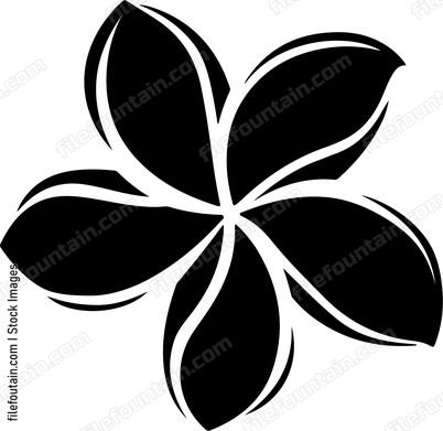 Frangipani Flower