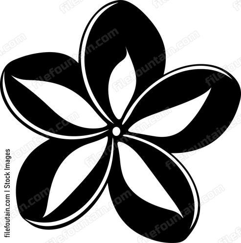 Frangipani Flower