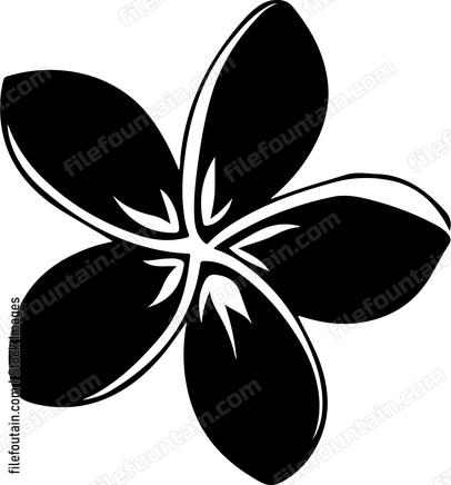Frangipani Flower