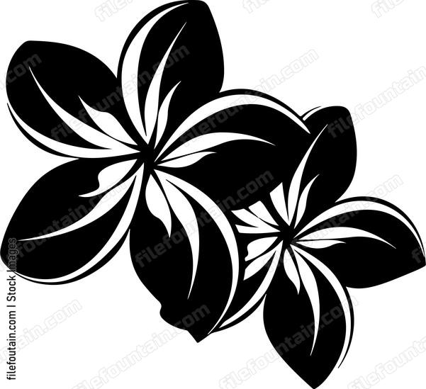 Frangipani Flower Design