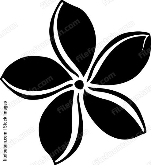 Frangipani Flower Design