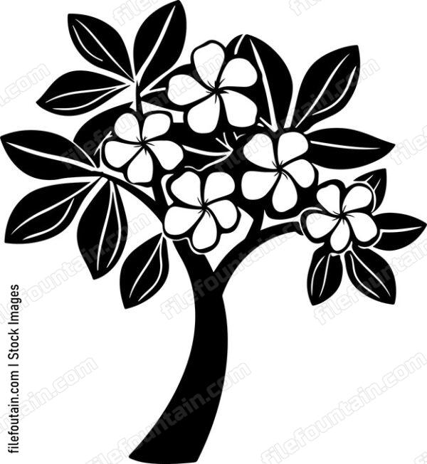 Frangipani Tree