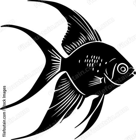 Freshwater Angelfish