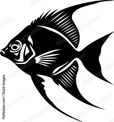 Freshwater Angelfish