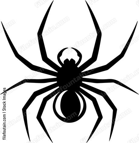 Front Facing Spider
