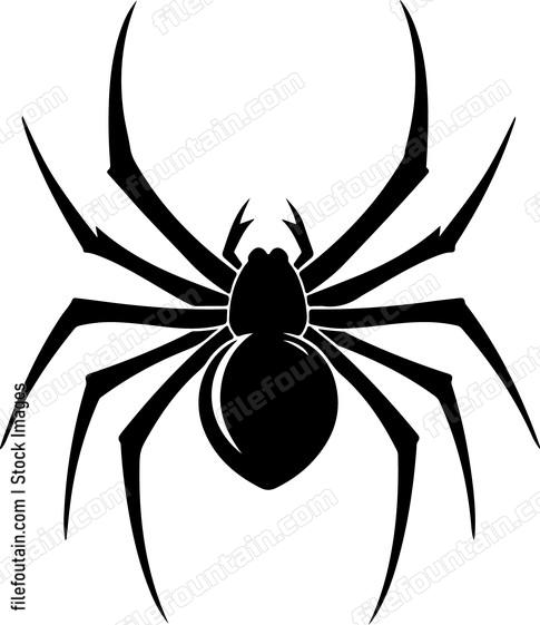 Front Facing Spider
